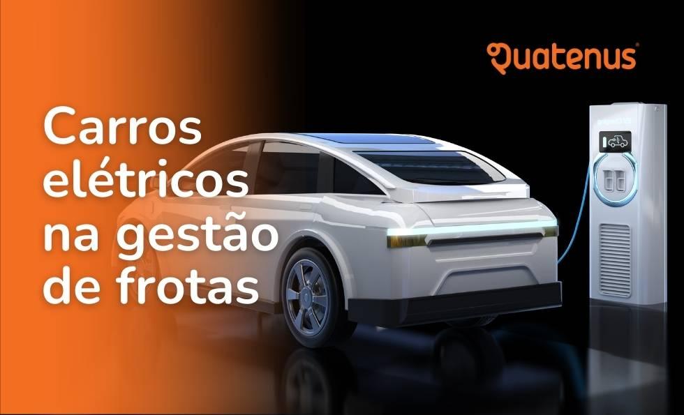 Electric Cars and Fleet Management: Challenges and Opportunities for 2025